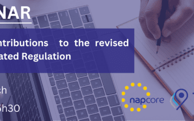 WEBINAR: TN-ITS VALUE PROPOSALS IN RELATION TO THE REVISED RTTI DELEGATED REGULATION